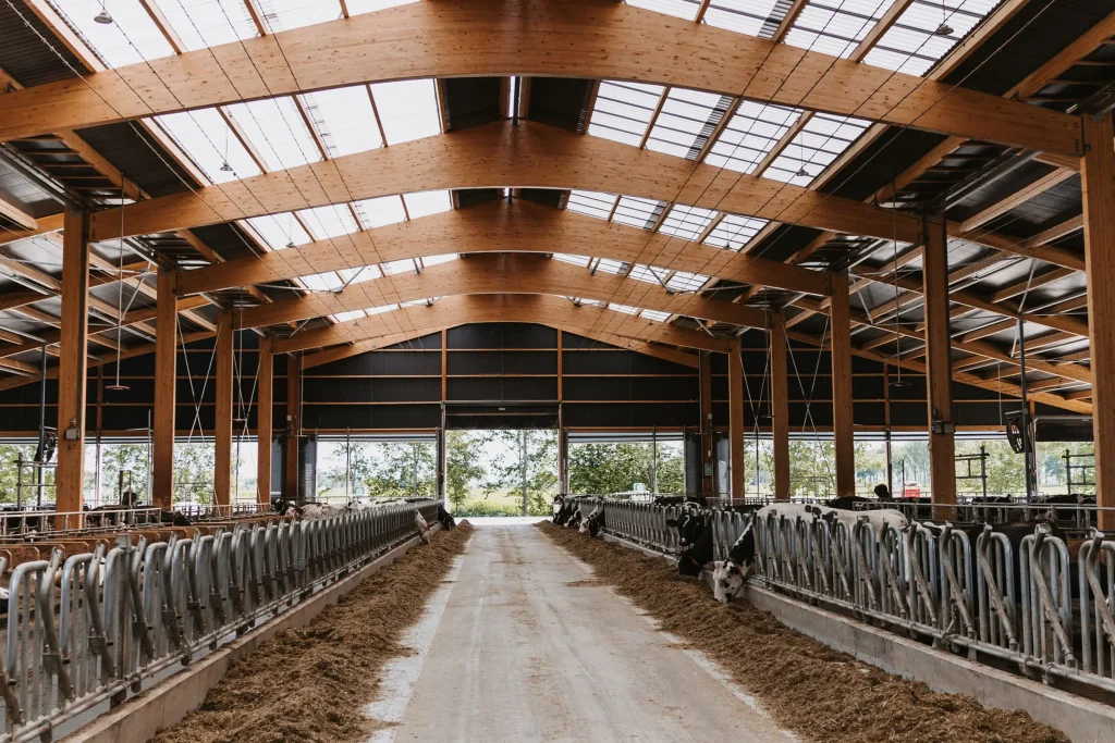 nieuwbouw-rundveestal-Well-22 Montageteam op bouwlocatie